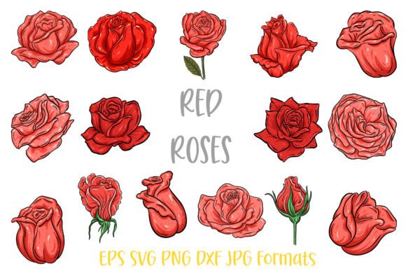 Download Red  Rose Flower Line Art Illustrations - Line art illustrations Collection