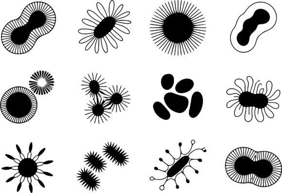 Download Abstract Organic Shapes Clipart Vector - Shapes Collection