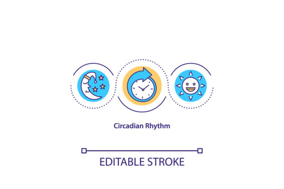 Download Circadian Rhythm Concept Icon - Icon Collection